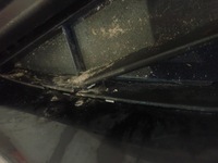 фото thumb №7, Бампер перед передний ford focus mk4 2018-