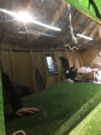 фото thumb №4, Дверь передние левая honda civic x