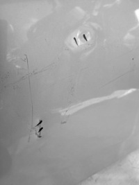 фото thumb №4, Капот toyota aygo 2 2014-2021