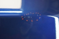 фото thumb №10, Дверь правый перед bmw x3 e83 a07