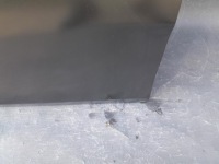 фото thumb №8, Mini f54 clubman 16- дверь перед передние правое