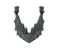 Челюсть дракона с набором кубиков из драконьих зубов — Dragon Teeth Dice Set