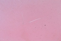 фото thumb №7, Спойлер спойлер porsche cayenne 1 i 06r