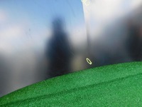 фото thumb №4, Opel crossland x lift 20- капот