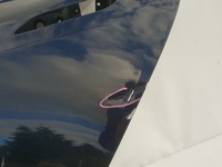 фото thumb №6, Tesla s lift 16-21 двері лівий задня задні ліва 6006394-00-h