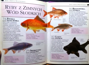 Ryby akwariowe, Dick MILLS [Wiedza i Życie 1997 - 101 Praktycznych Porad]