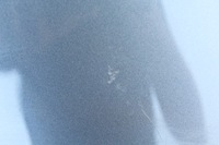 фото thumb №10, Кришка багажника зад задня tesla модель y 19-..r