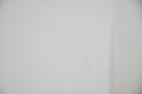 Капот крышка двигателя lexus is 2 xe20 Недорого, фото thumb