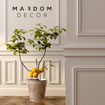 ПОЛОСКА СВЕТОДИОДНОГО ПОТОЛОЧНОГО ОСВЕЩЕНИЯ MARDOM DECOR QL002, ДЛИНА H-8,5 см. 2,0 м
