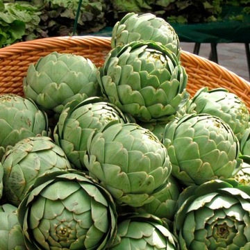 Karczoch suszony Cynara scolymus 1000 g certyfikat