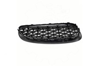 фото thumb №7, Решітка радіатора радіатора bmw z4 roadster e89 sdrive 20 i 09.11-08.16