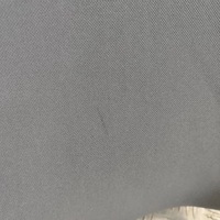 фото thumb №8, Audi e-tron gt 2022 потолок