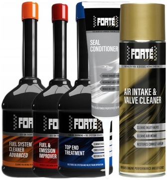 FORTE Petrol Package Профилактический ремонт Форсунок Кольца топливной системы