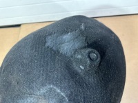 фото thumb №11, Підкрилок лівий задня, ліва задні, захист, mercedes cl w216, c216