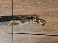 фото thumb №7, Jeep grand cherokee wj 99-04 захист pod радіатор