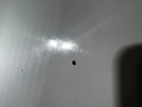 фото thumb №10, Skoda superb ii рестайлінг капот pokrwya двигуна lf9f