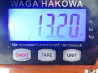 Рессора задний peugeot boxer 2 Недорого, фото thumb