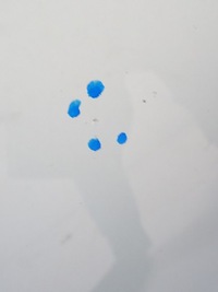 фото thumb №13, Nissan juke рестайлінг f15 скло лобове передня