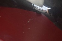 фото thumb №9, Бампер задняя задний 189 pdc a2198800171 mercedes cls c219 w219 04-08