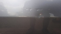 фото thumb №15, Opel vectra c fl hb дверь зад левое z163