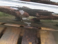 фото thumb №8, Opel astra ii bertone двері ліва передні