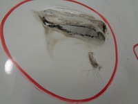 фото thumb №8, Peugeot rcz lift бампер задний pdc ezrc kwfa