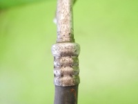 фото thumb №11, Трубка шланг кондиционера renault laguna ii 1.9