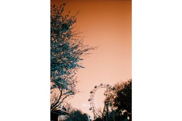 Простая в использовании камера Lomography Бирюзового цвета