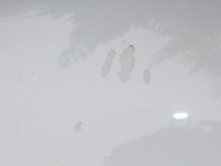 фото thumb №3, Капот крышка двигателя renault laguna iii lift