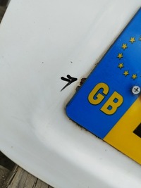 фото thumb №10, Двері орні ліва задня citroen jumpy scudo expert ii 2007-2014 ewpa