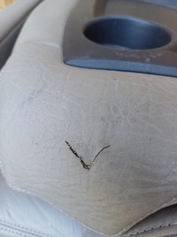 фото thumb №7, Citroen c8 peugeot 807 ulysse phedra сиденье кожа ii i iii ряд