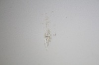 фото thumb №4, Двері праве задня задні сріблястий mini countryman r60 10-17