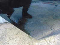 фото thumb №7, Двері правий задня audi a6 c8 kombi чорні