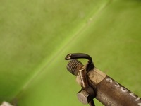 фото thumb №11, Форсунки комплект audi a3 8l 1.9 tdi 98r