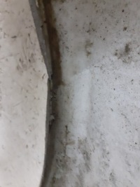 Крыло  передний перед правый  audi a5 8t0 2008-2016r Недорого, фото thumb