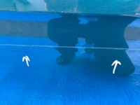 фото thumb №6, Дверь правое задние vw golf vii 7 kombi 5g9