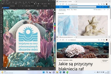 Домашняя приставка MICROSOFT Windows 11