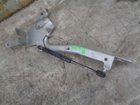 фото thumb №1, Петля капот правий renault scenic 3 iii ted69