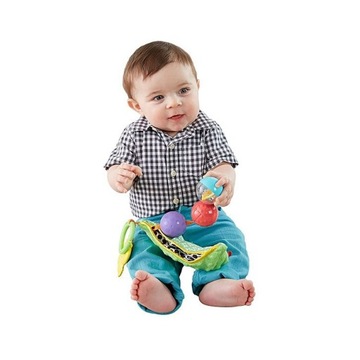 ZIELONY GROSZEK ZAWIESZKA FISHER PRICE DRD79
