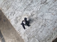 фото thumb №3, Kia sportage iii кнопка зажигание двигатель запуск стоп