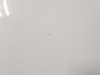 фото thumb №6, Капот + петли + шумоизоляция infiniti q50 v37 цвет qaa 2013-