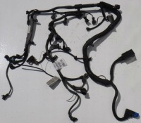 фото thumb №1, Opel meriva b 10 r 1.4 16v turbo джгут двигуна