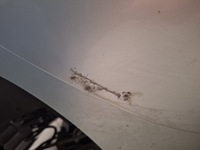 фото thumb №2, Espace iv 02-06 дверь зад правые голый 5d teb64