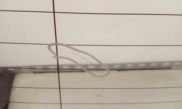 фото thumb №3, Скло задня зад bmw seria 3 f11 2010-2017 оригінальна з підігрівом світла