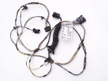 фото thumb №1, Daf lf 45 55 06-13 e4/5 джгут двері права