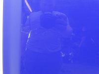 фото thumb №9, Двері ліва лівий bok зсувні vw caddy iii 2k la5c