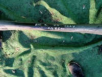 фото thumb №4, Opel astra k балка подвеска задняя задняя