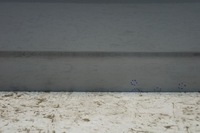 фото thumb №10, Дверь правый перед bmw x3 e83 a08/7