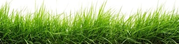 Удобрения Barenbrug Barfertile осень 5 кг