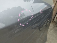 фото thumb №7, Двері праве задня tesla y